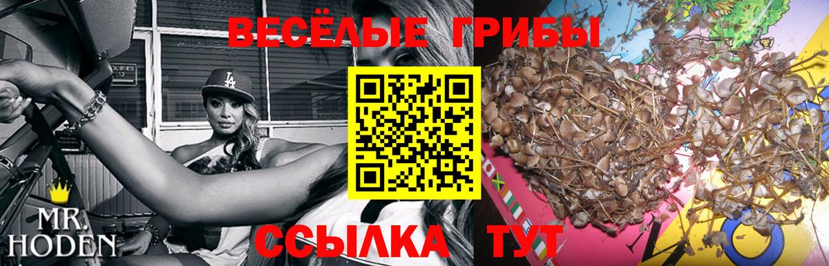 Псилоцибиновые грибы мицелий Асбест