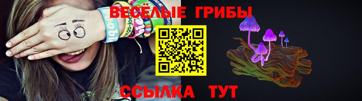 Галлюциногенные грибы мицелий  магазин  наркотиков  Асбест  Псилоцибиновые грибы Psilocybe  Вход с VPN 